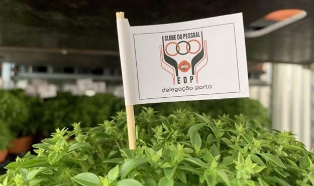 Clube EDP Porto assinala São João